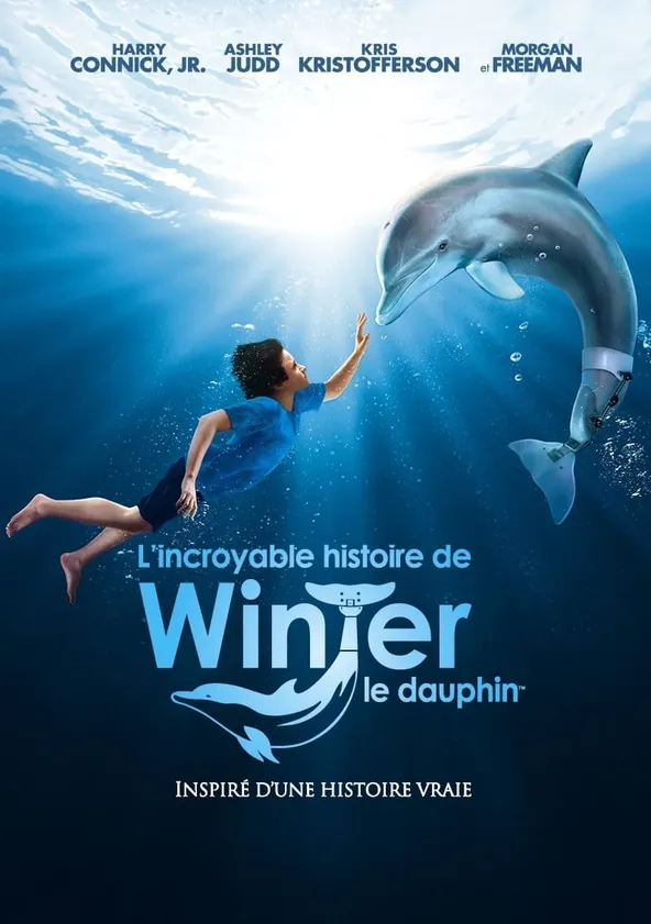L'Incroyable Histoire de Winter le dauphin