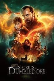 Fantastic Beasts The Secrets of Dumbledore