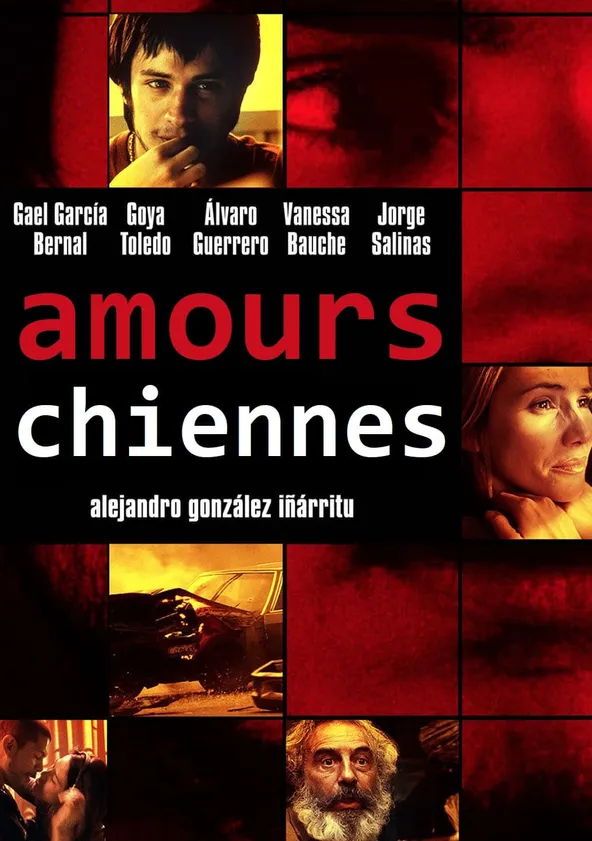 Amours chiennes