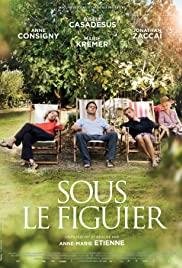 Sous le figuier